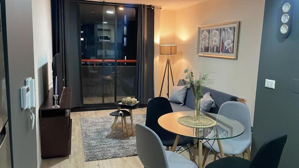 Departamento Comodo En Santiago del Cile