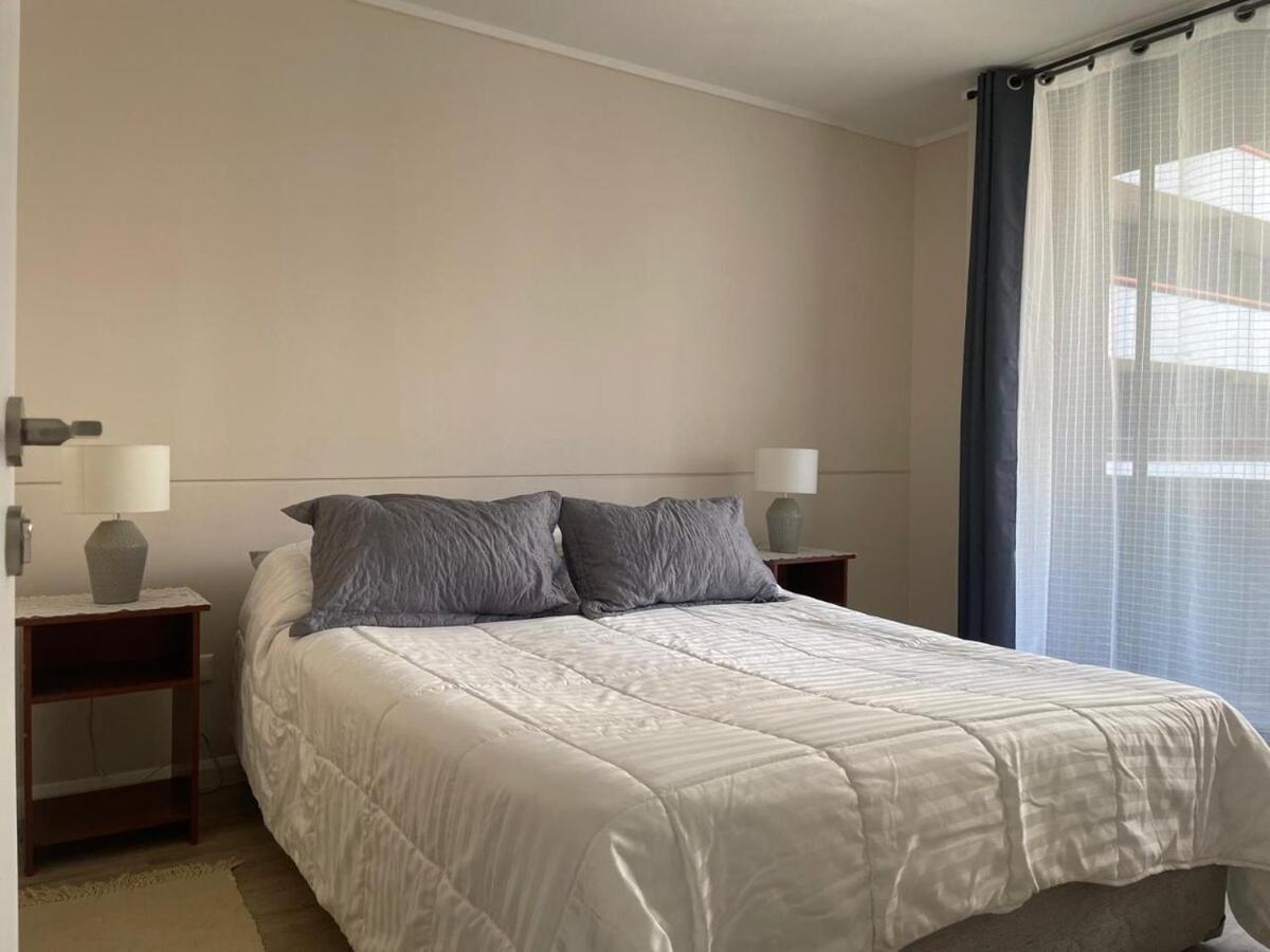 Departamento Comodo En Santiago del Cile